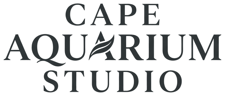 Cape Aquarium Studio