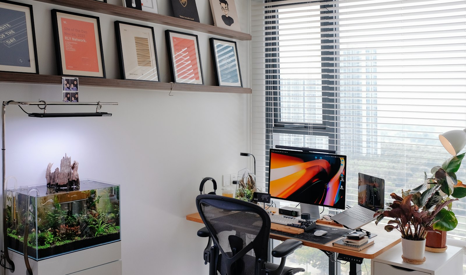 A planted aquarium on a white cabinet in a bright office